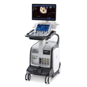 GE Vivid E90 Ultrasound Machine